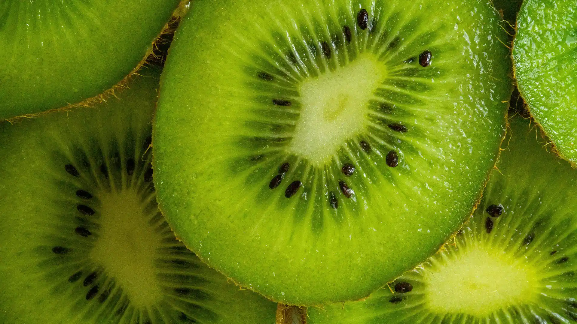 Fresh kiwis cut in halves by My Frist Catering