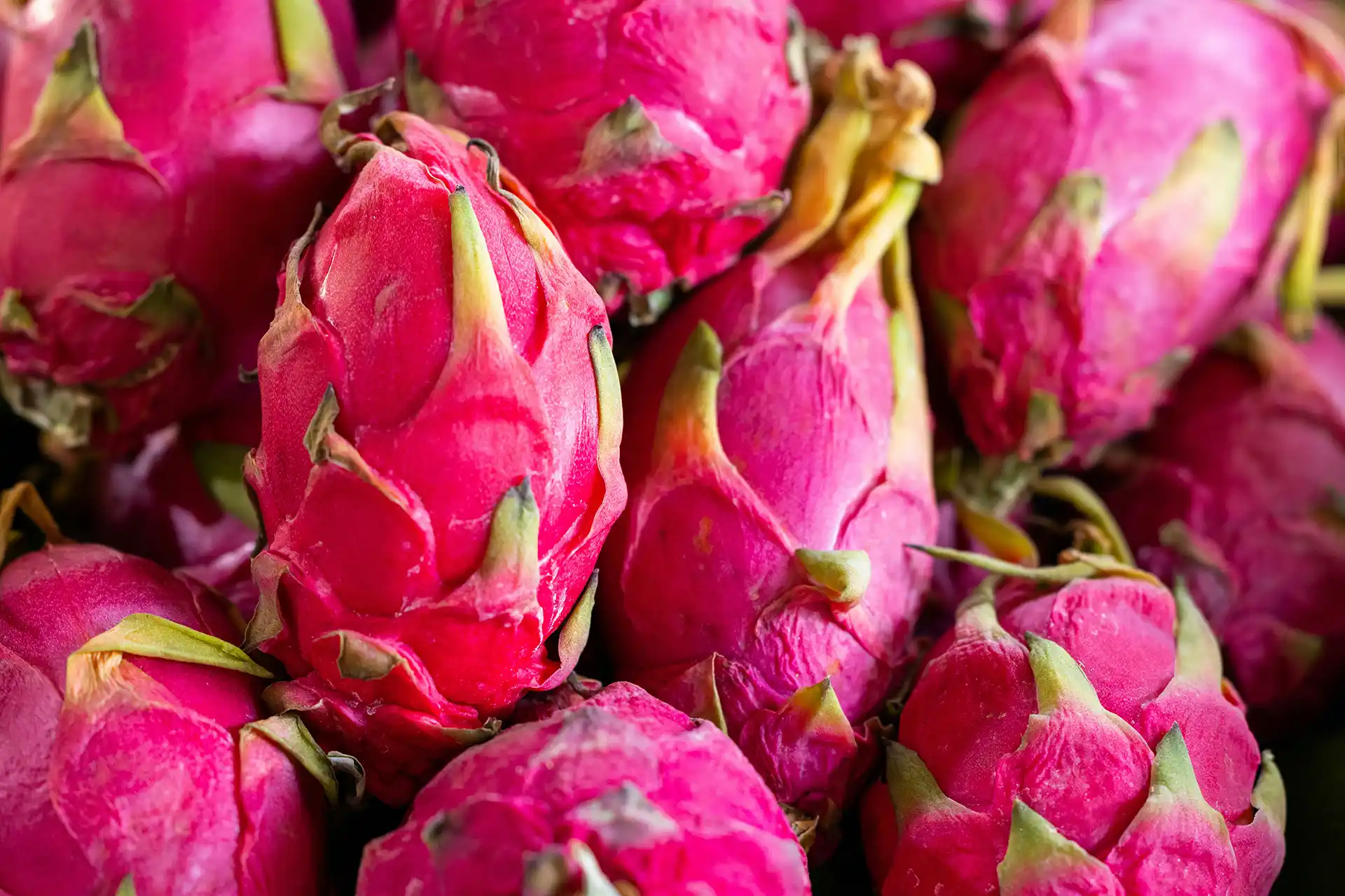 Some pink dragon fruit