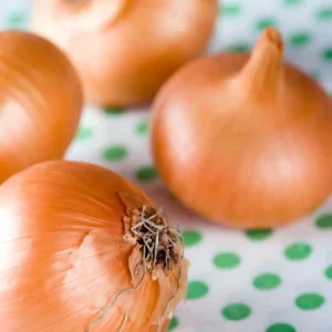 Red onions on a table