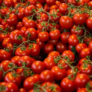 fresh beautiful tomatoes